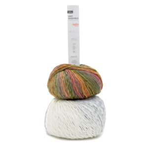 Knit ensemble - Laine dégradée