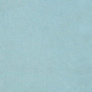 Tissu Katia Fabrics Micro Corduroy Solid Celestial Blue