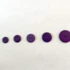 Bouton Plastique violet 2 trous