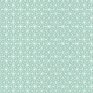 Tissu Coton Enduit Fuji Menthe