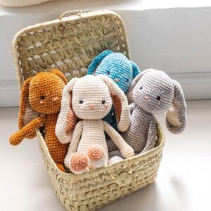 Kit Crochet Amigurumi Lapin