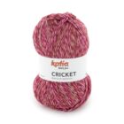 Pelote acrylique chinée Cricket
