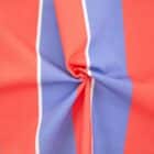 Tissu Canvas Rayures rouge et bleu