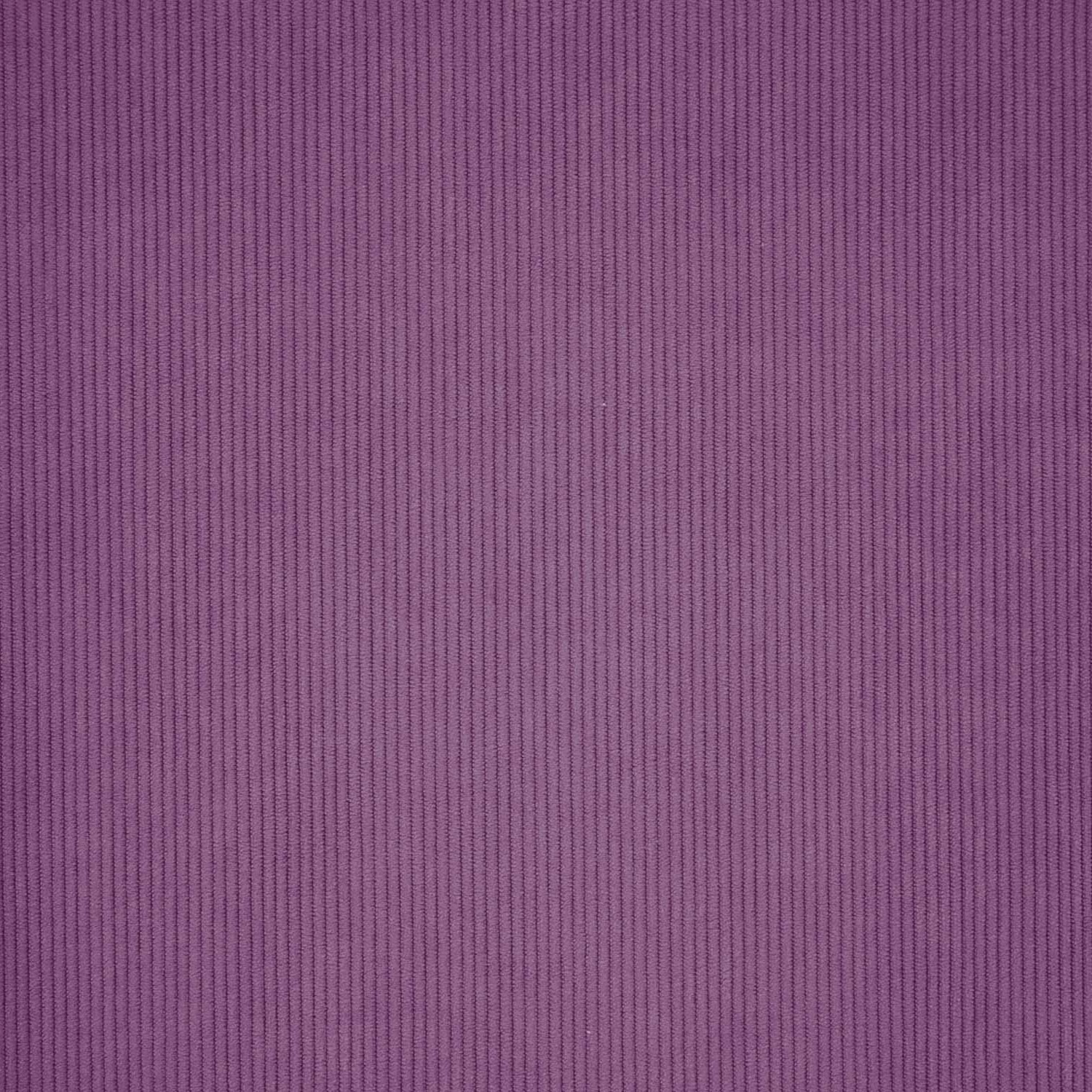 Tela de pana Corduroy Basic Purple 760 Tissu velours côtelé fin Pourpre