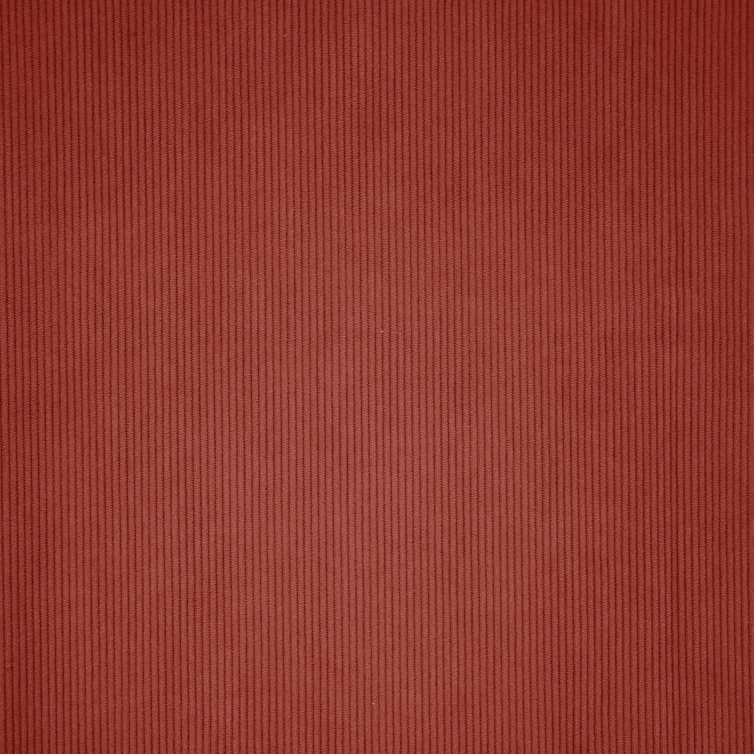 Tela de pana Corduroy Basic Rust 755 Tissu velours côtelé fin terracotta 100% polyester